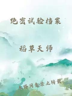绝密试验档案